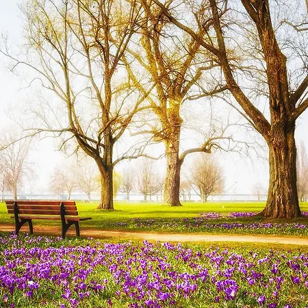 The Kimberley Hotel Harrogate